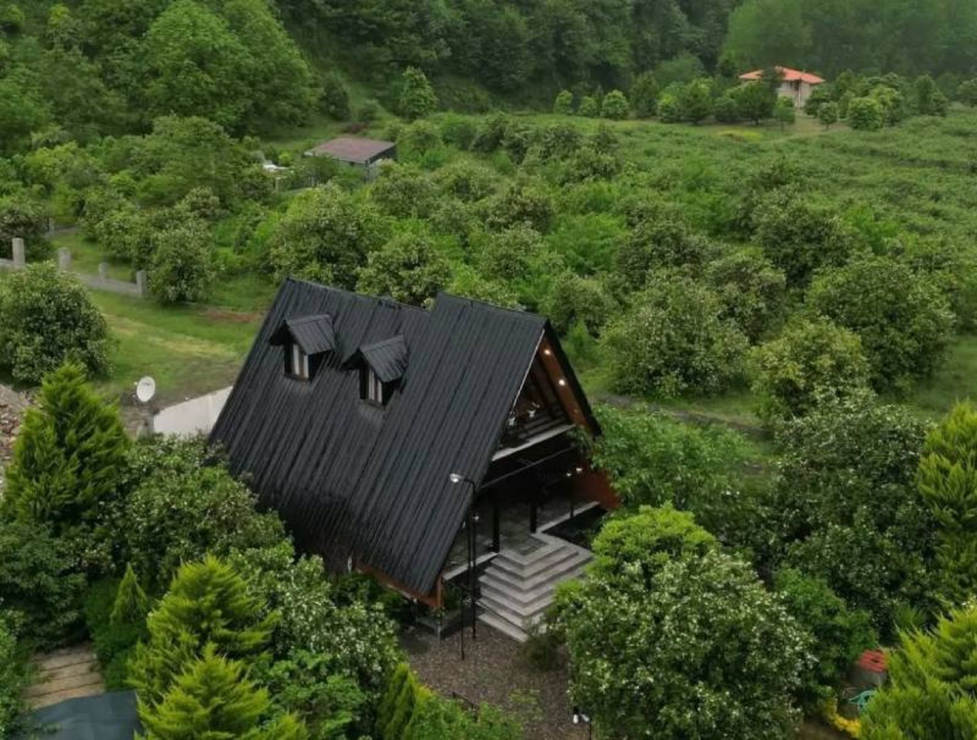 Swiss Rodser hut in forest nature