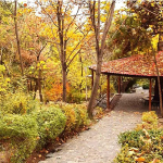 What are the best parks in Tehran?