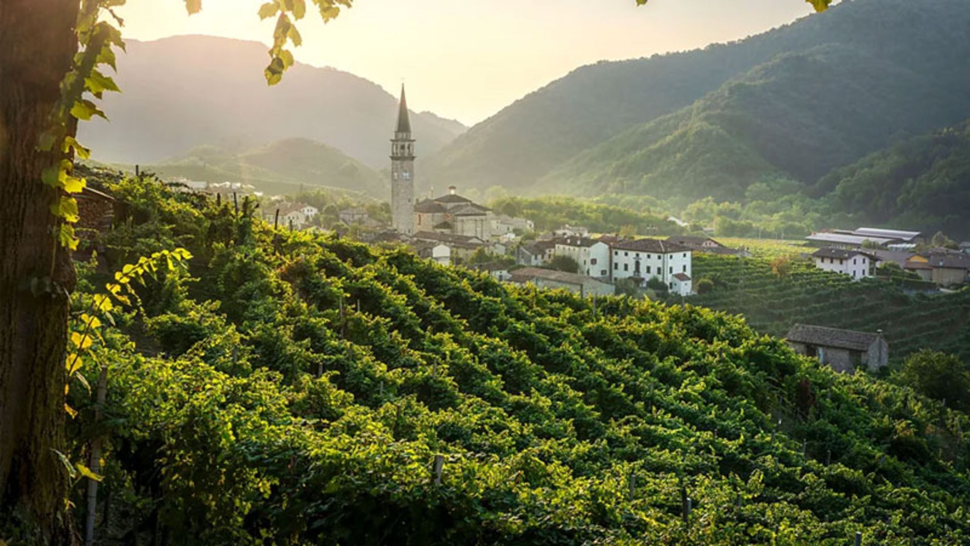 Prosecco hills with vineyards and a village in the background in Treviso