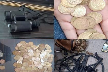 Discovery of Sassanid coins