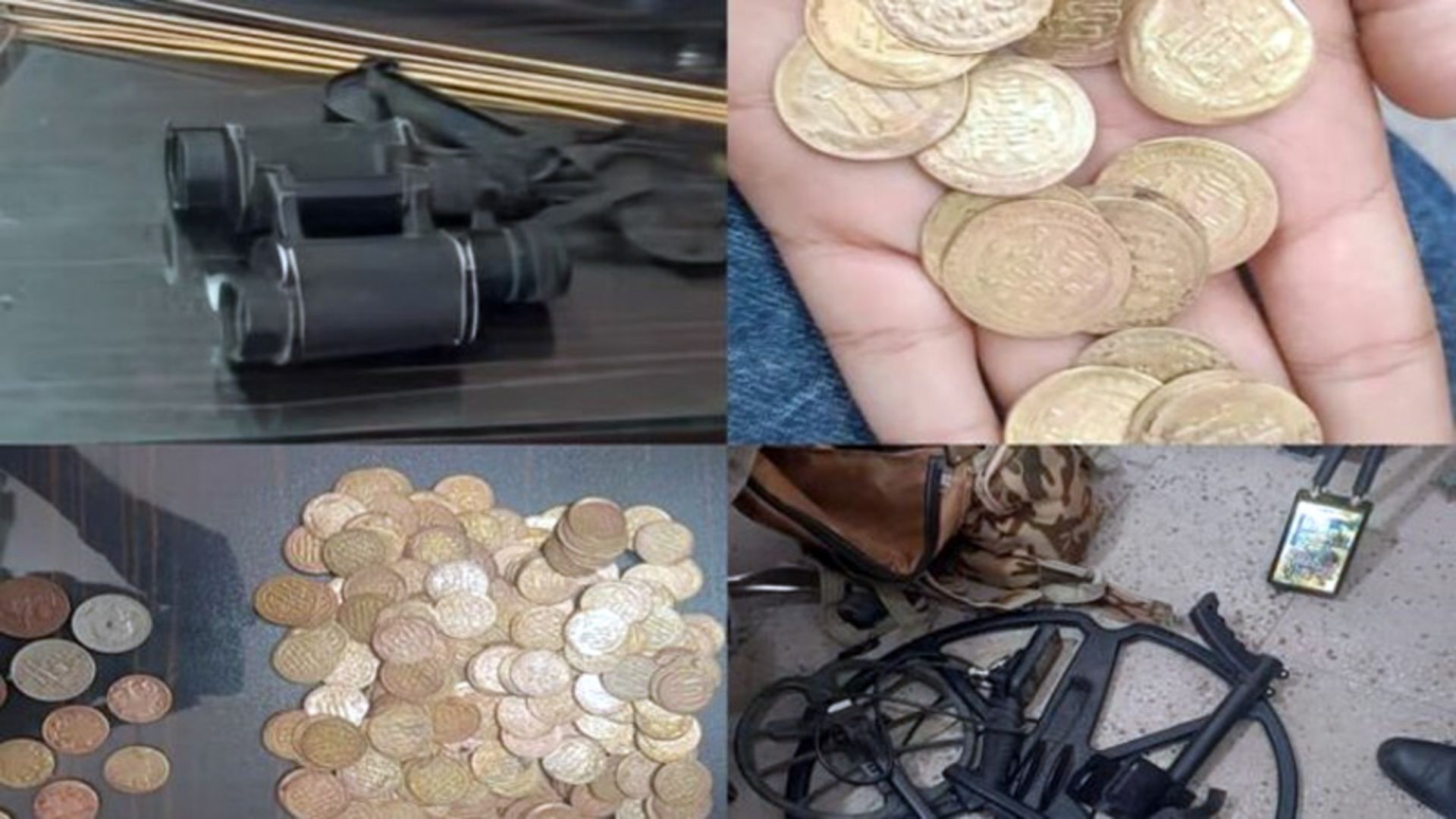 Discovery of Sassanid coins