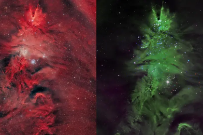 The glow of the Christmas tree in the heart of space