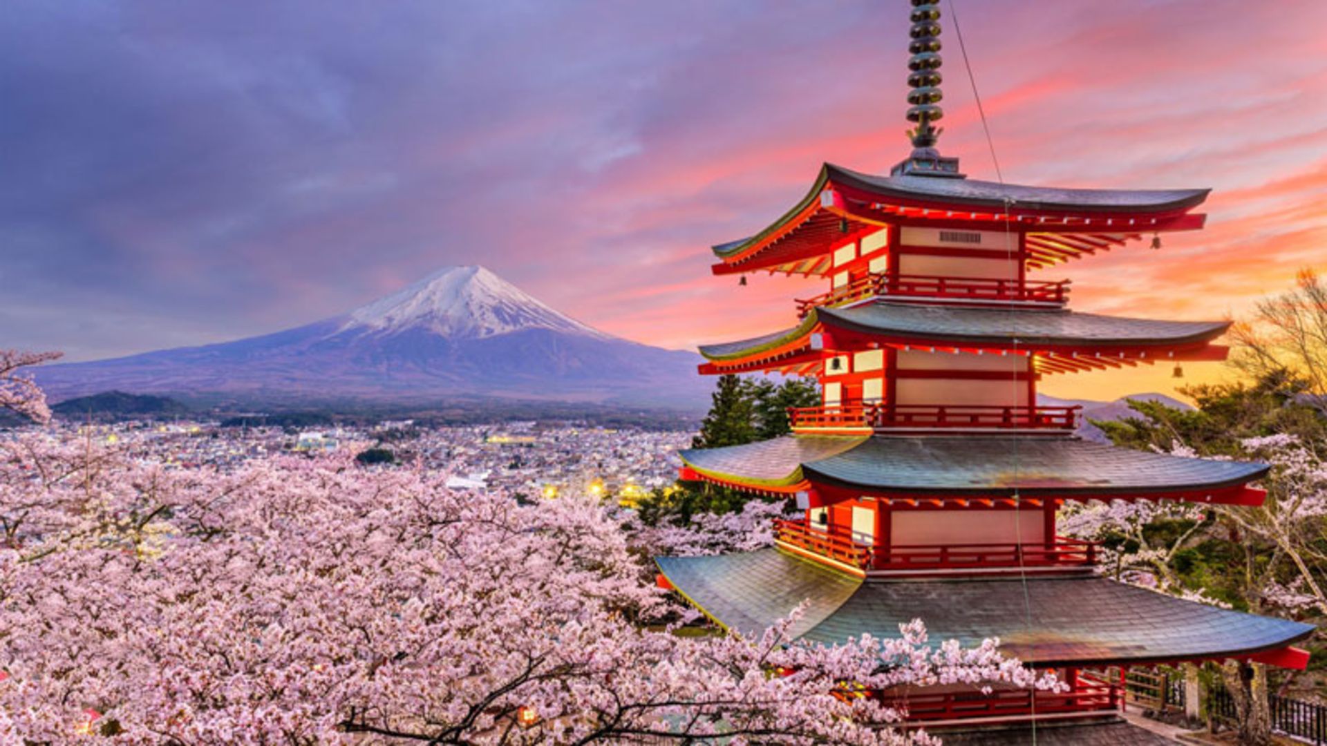 Japan's Mount Fuji, Chorito Temple and cherry blossoms at sunset