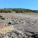 A picture of the sea floor in Ministers Island at low tide