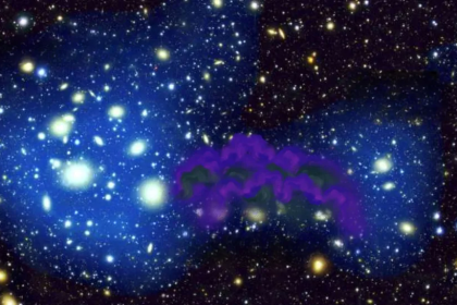 dark stars; The key to revealing the secret of the birth of the world's first stars