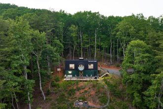 The perspective of Durbini's hut in the forest