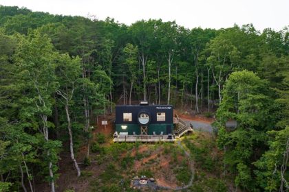 The perspective of Durbini's hut in the forest