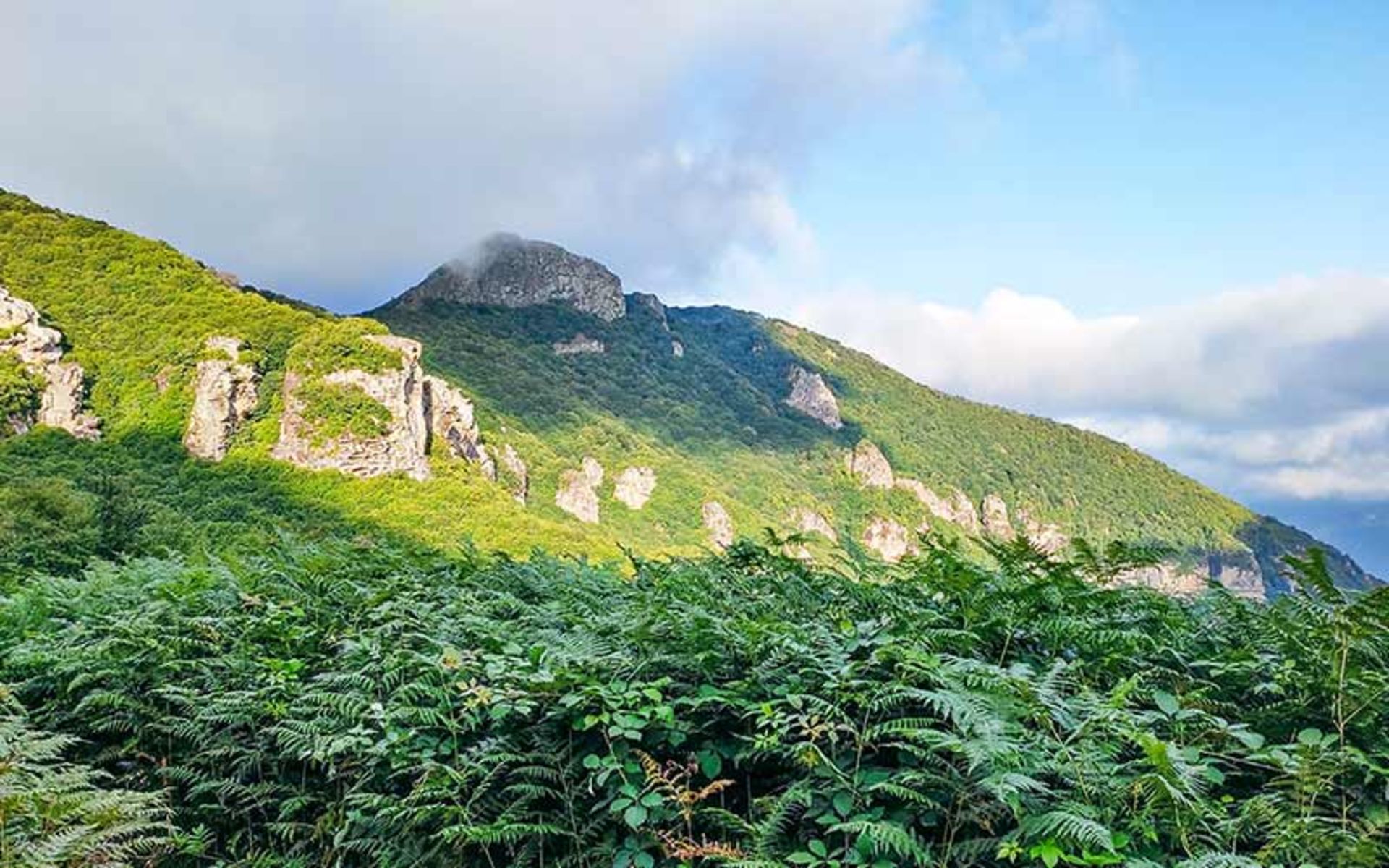 Shindan Castle in spring, photo source: Google Map, photographer: Shayan Gardhan