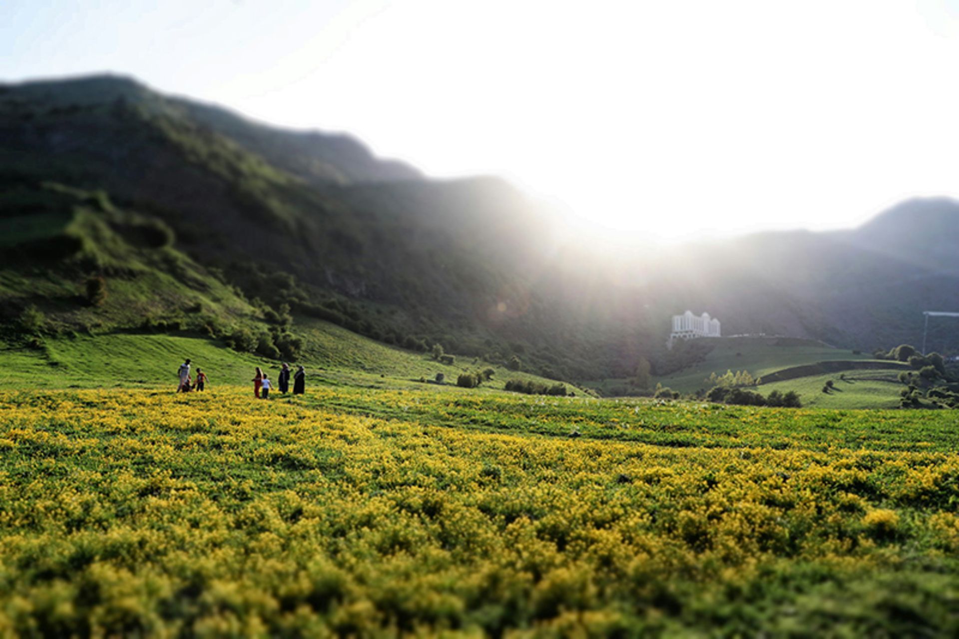 The green plains of Astara in spring