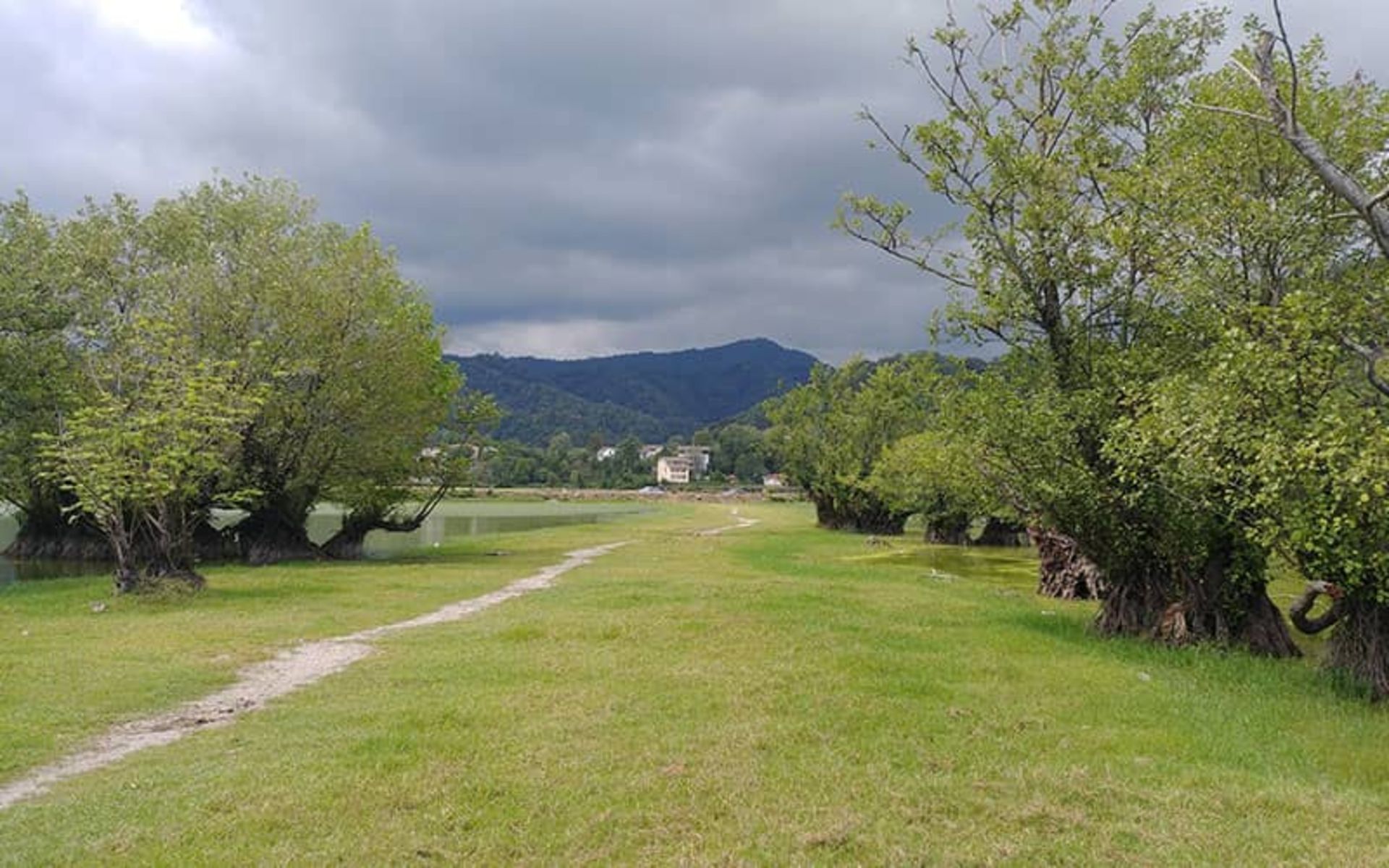The beautiful and green nature of Lundville Wildlife Sanctuary