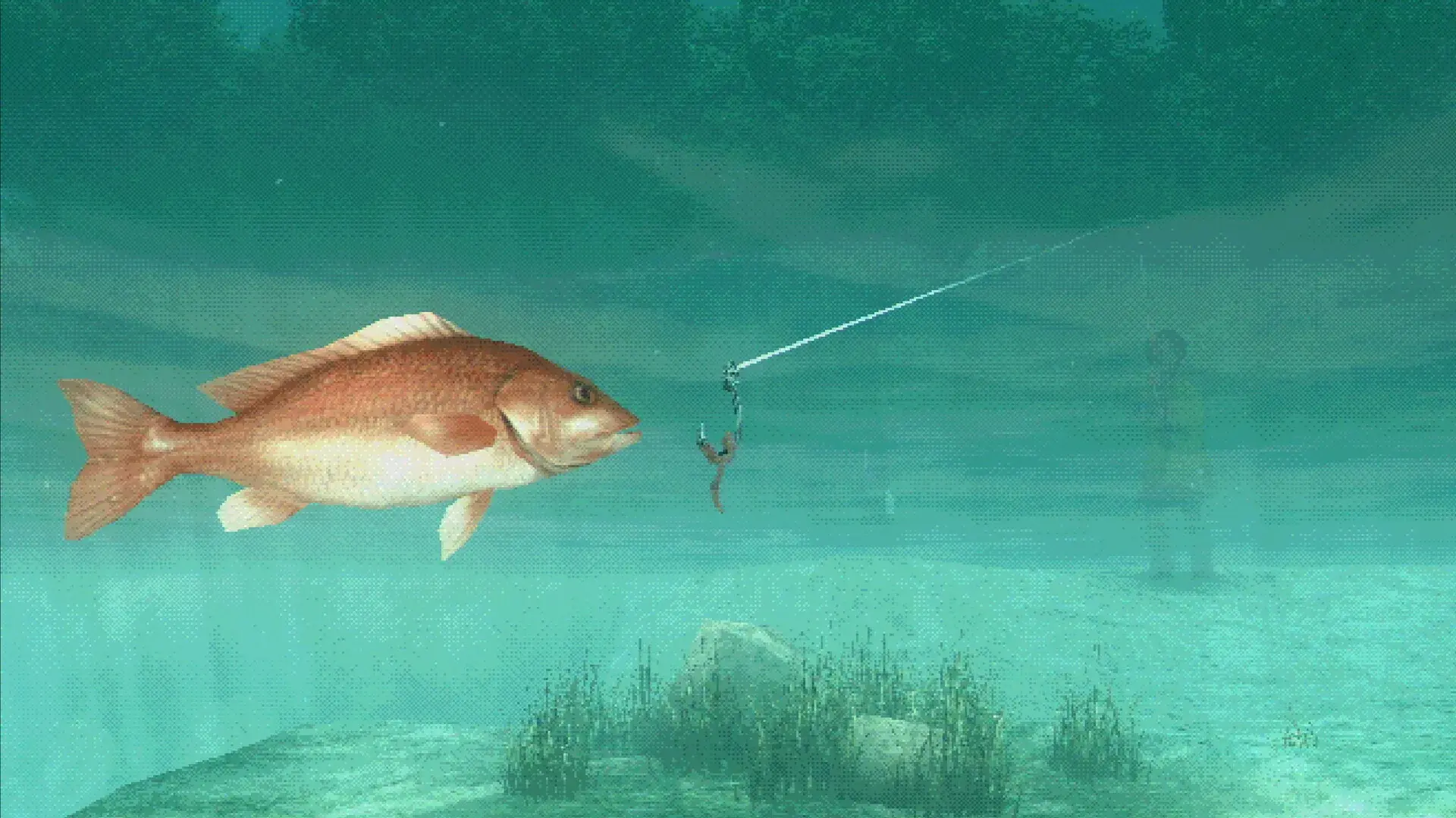 Game about fishing