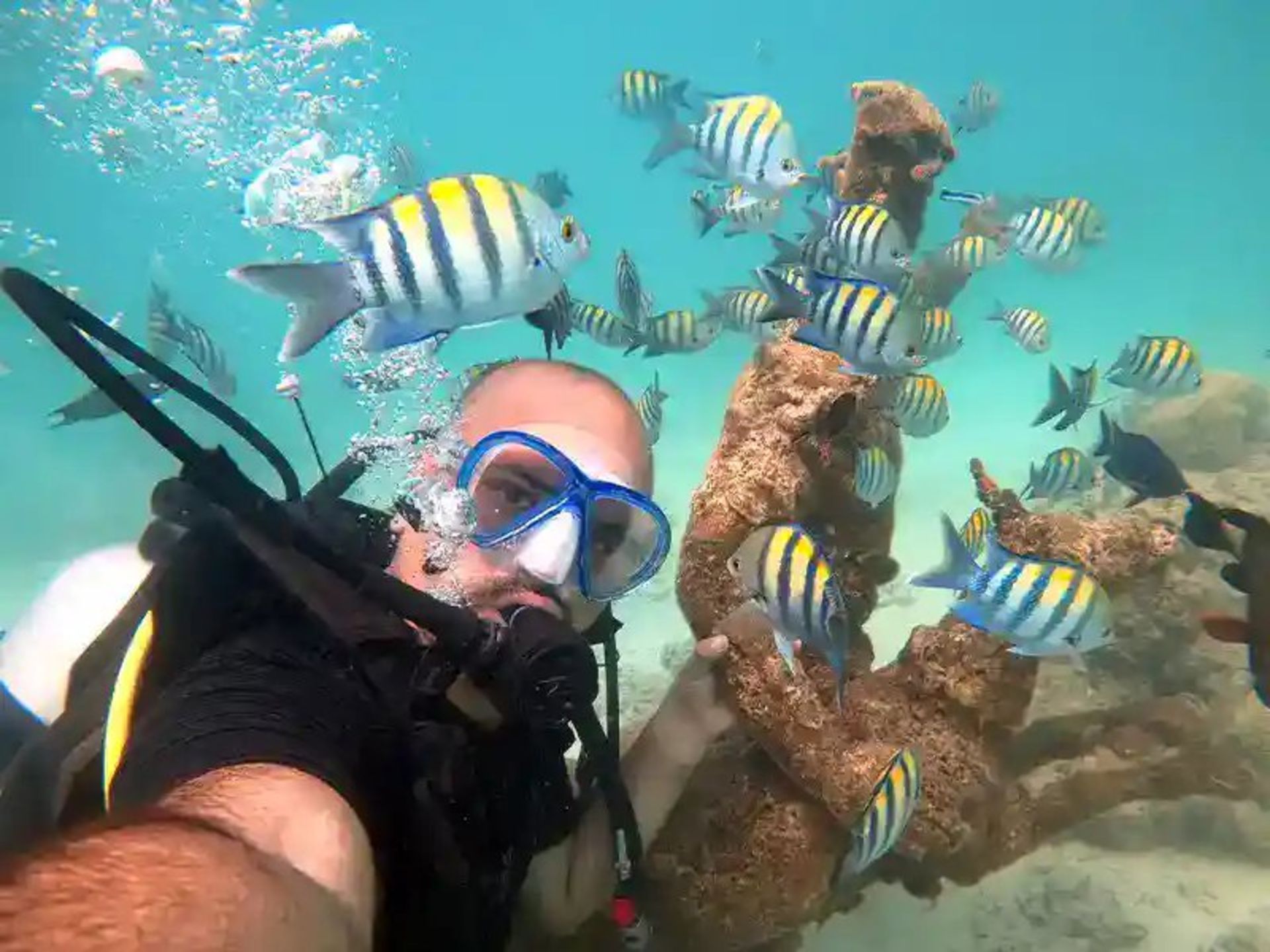 Diving next to the fish in the Persian Gulf on Kish Island
