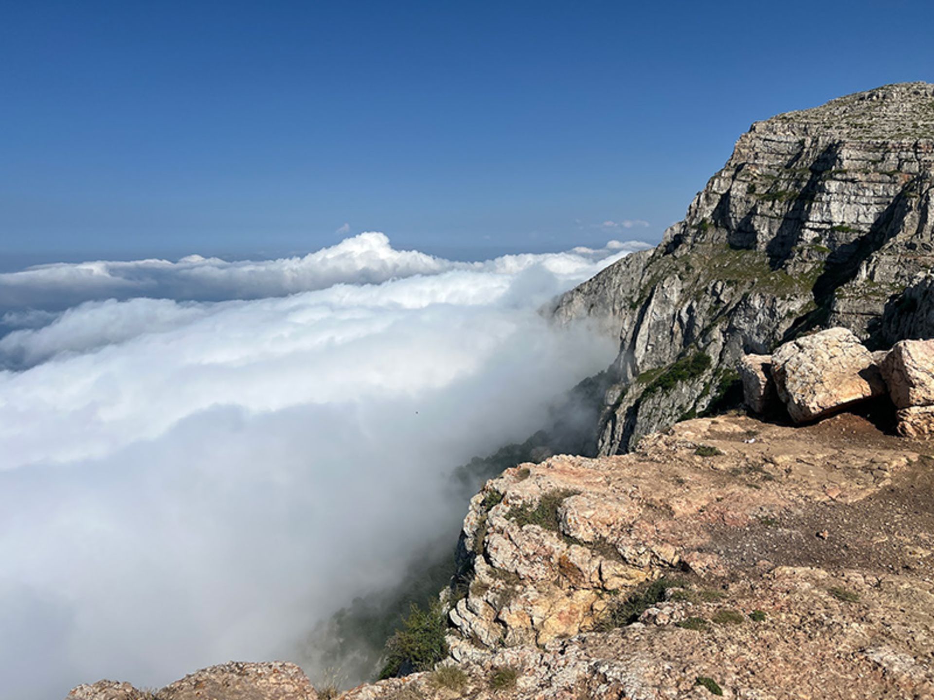The peak of Mount Darfak among the clouds