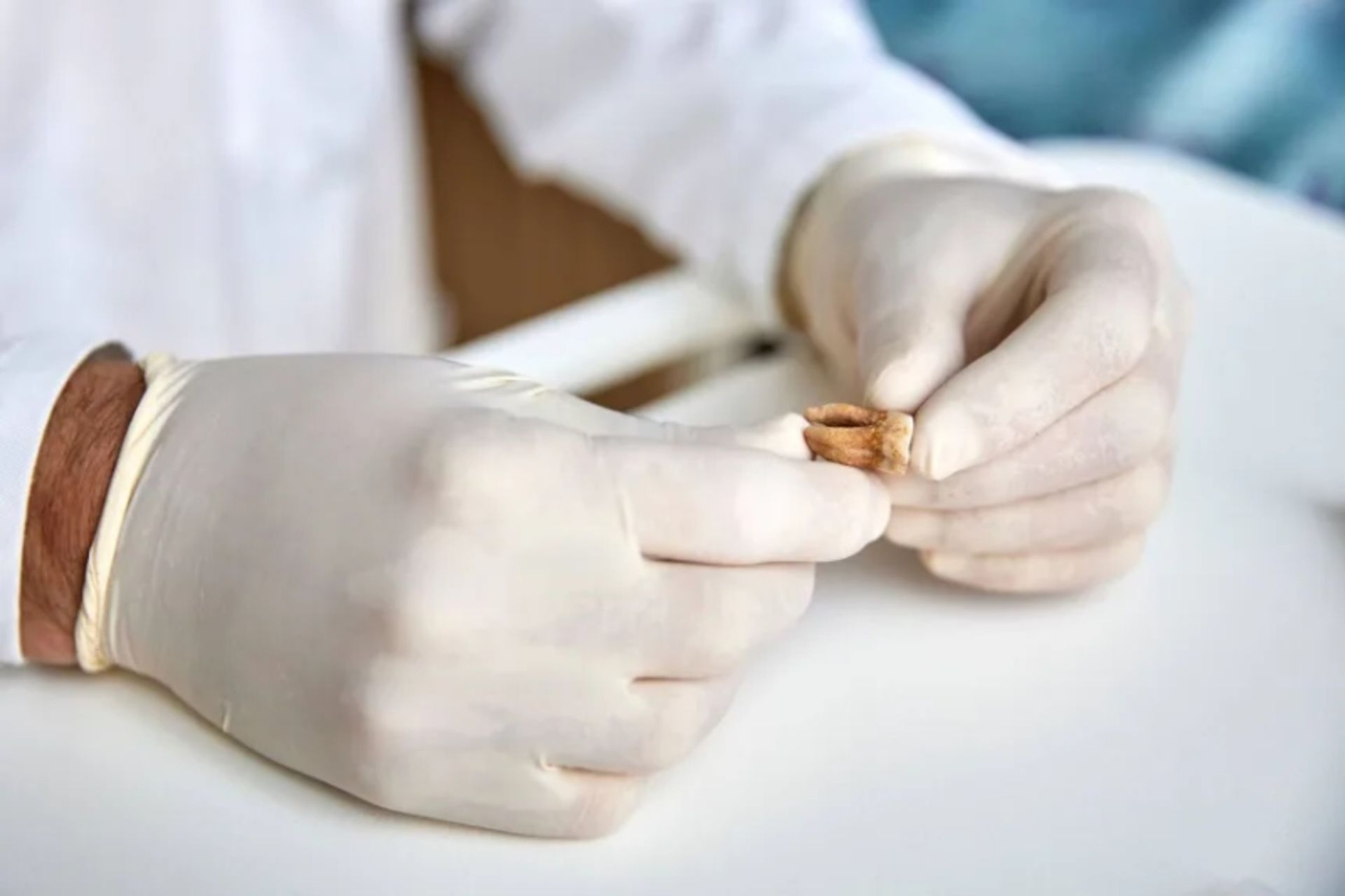 Examining the teeth of soldiers of Napoleon Bonaparte's army