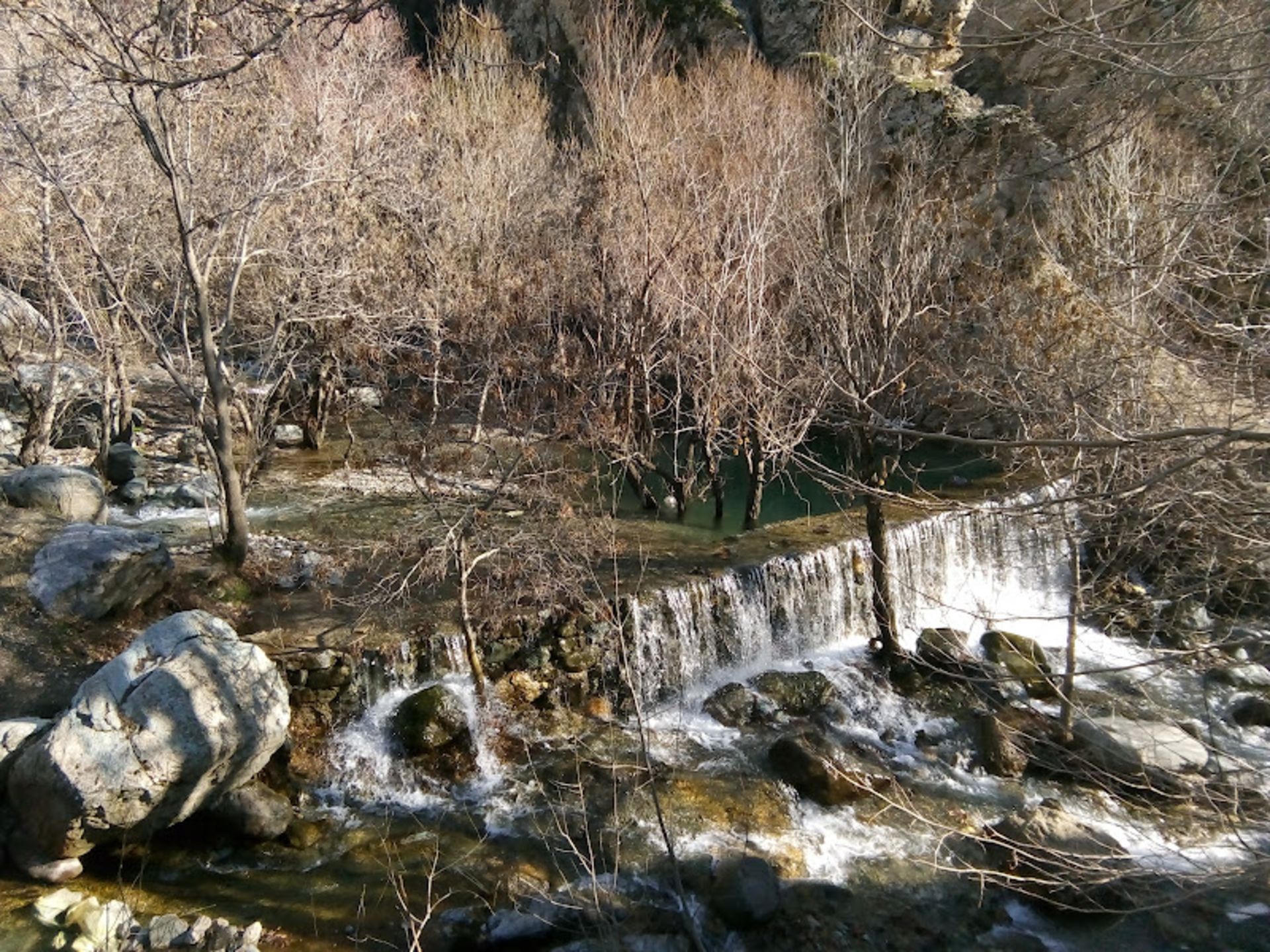 Spring and trees without leaves