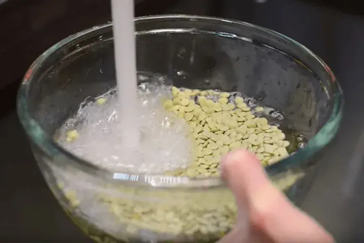 wash lentils