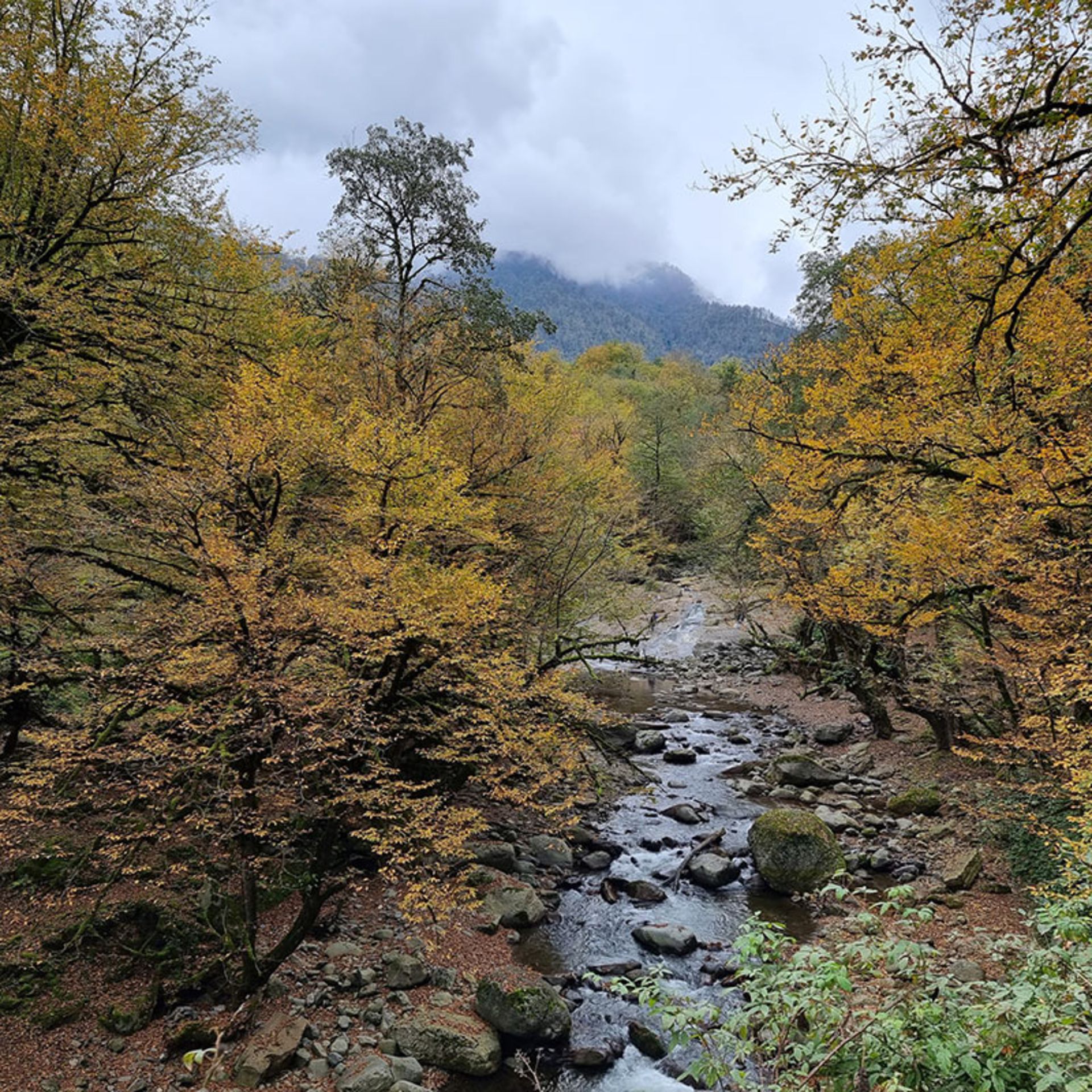 A beautiful autumn landscape in Siyakhlorud village
