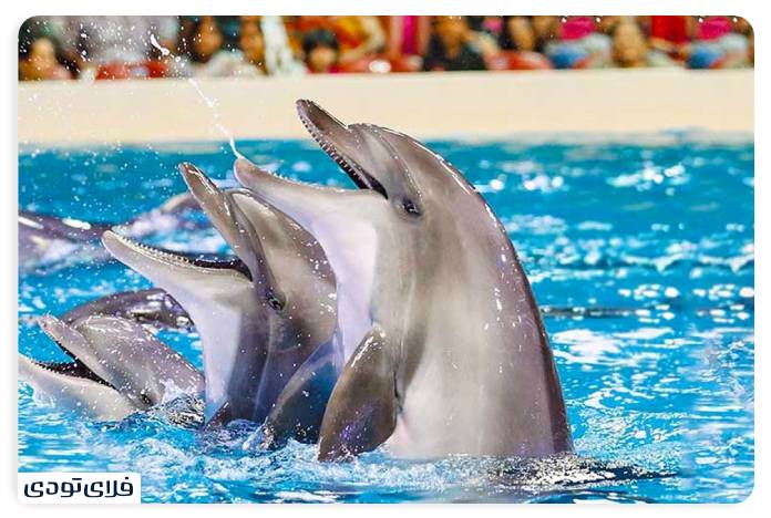 Sights of Kish at night The best places to see in Kish at night