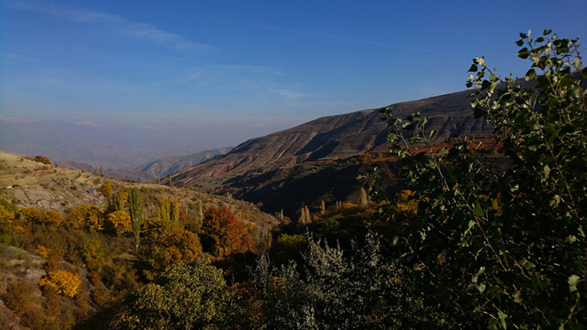 Autumn nature of Qazvin forests