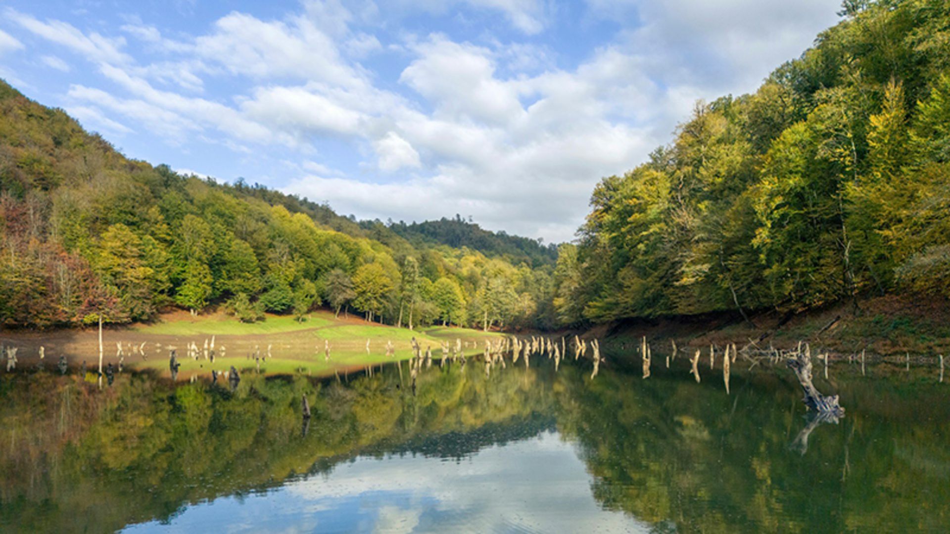 Churt lake in the middle of the forest