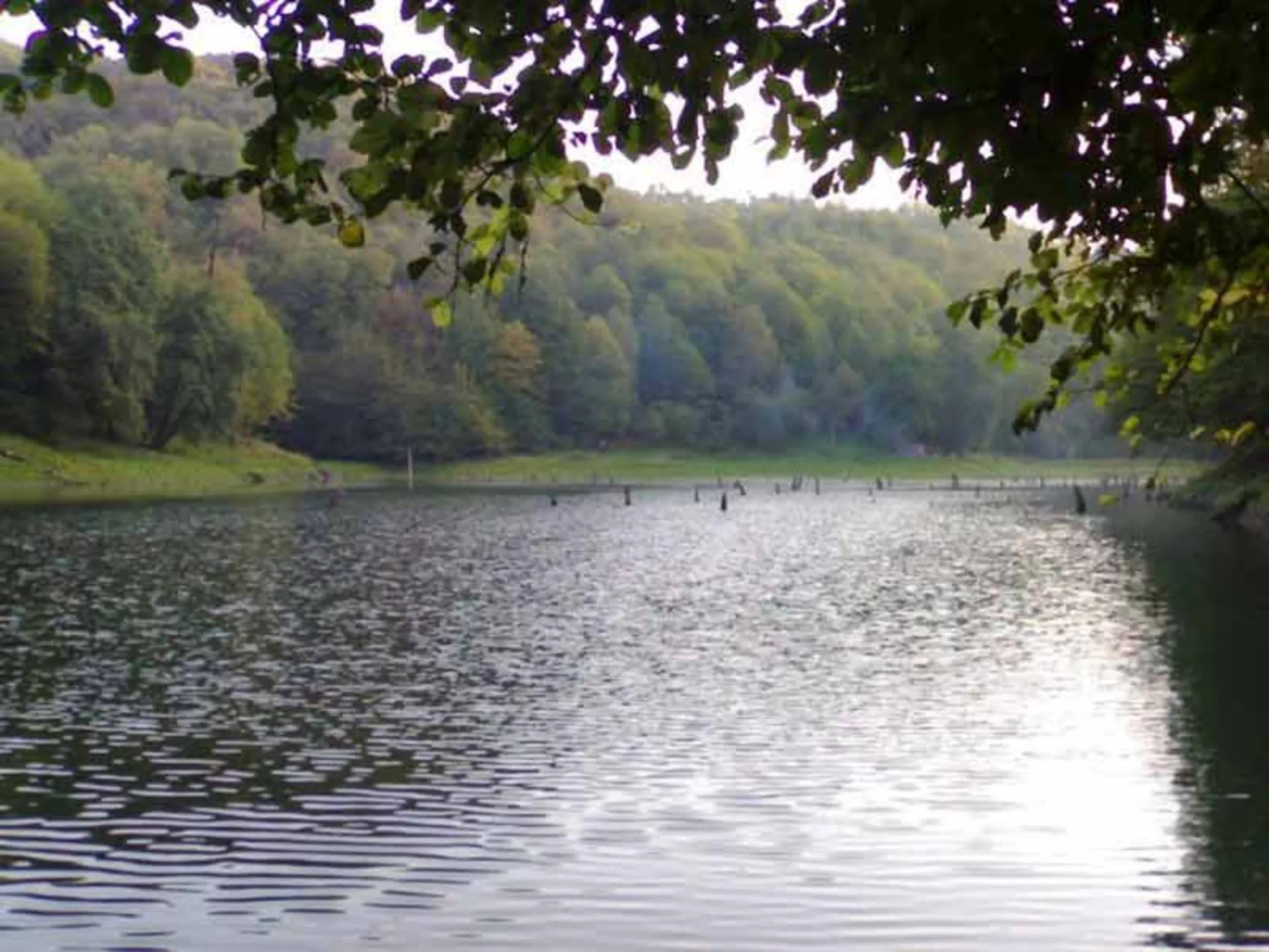 The pristine nature of Serandon and Balendon Sari wetlands