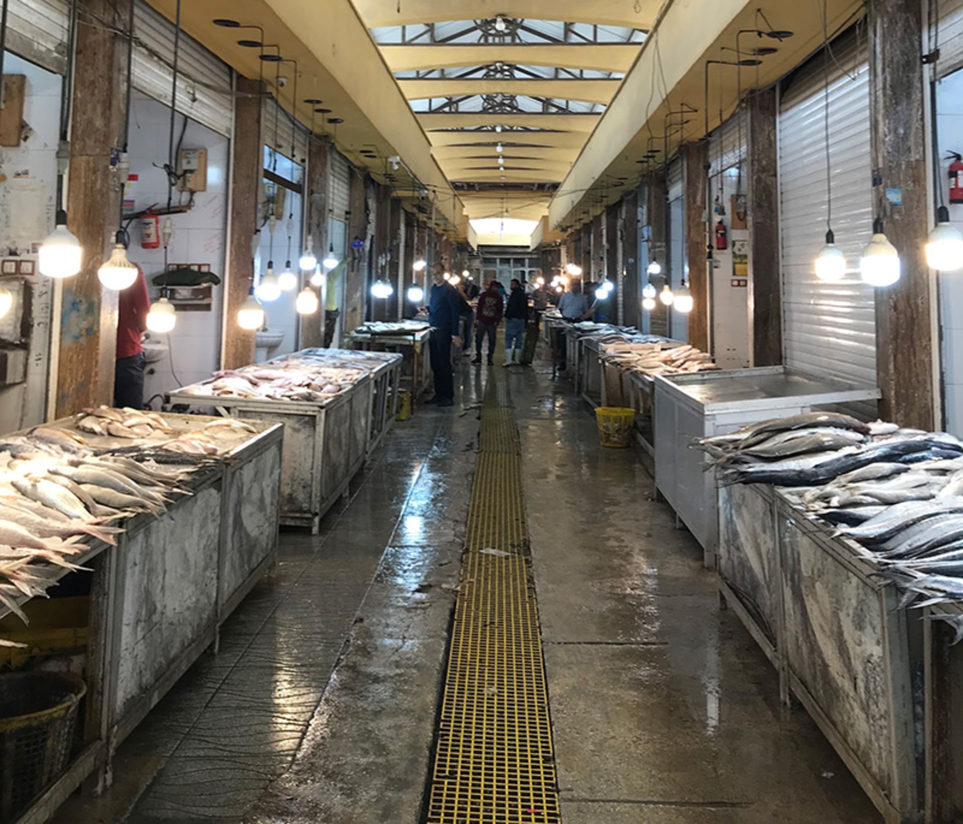 Fish shops in Bushehr fishmongers market