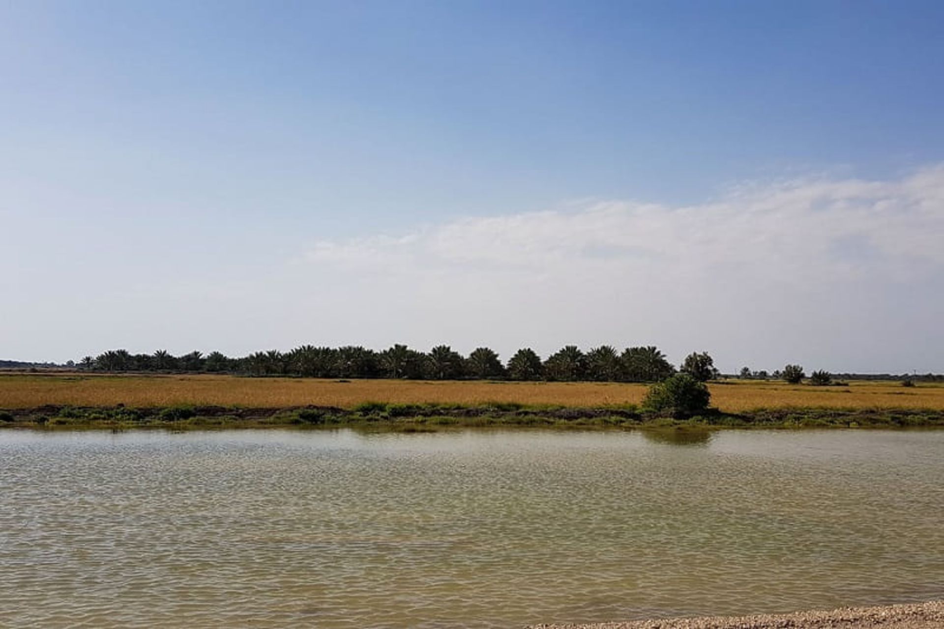 The large lagoon in the Helle protected area