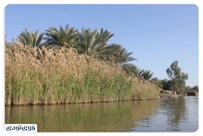 Where is the Shadgan lagoon? | Information before the trip