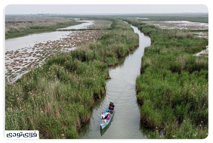 Where is the Shadgan lagoon? | Information before the trip