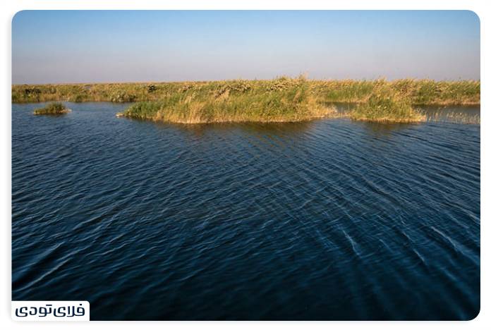 Where is the Shadgan lagoon? | Information before the trip