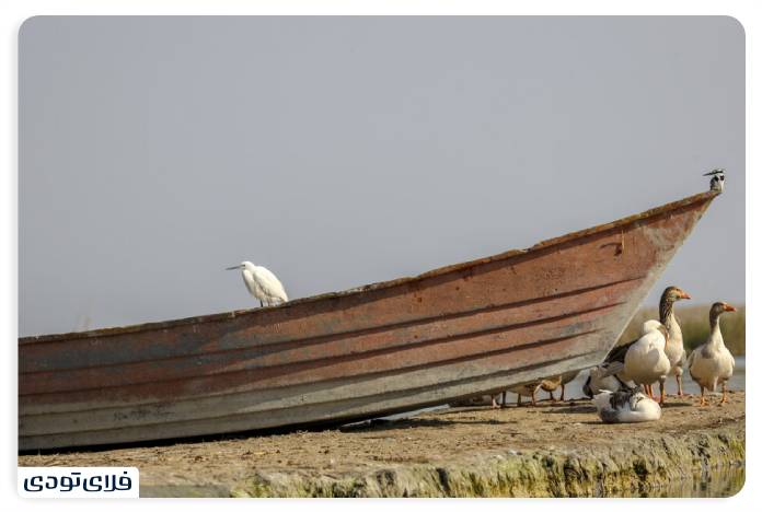 Where is the Shadgan lagoon? | Information before the trip