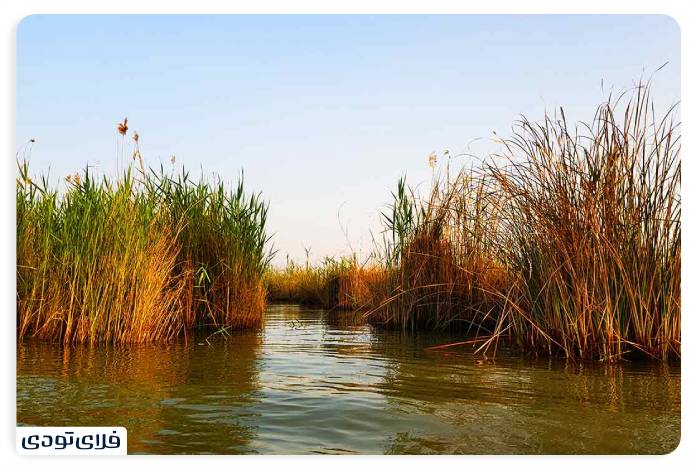 Where is the Shadgan lagoon? | Information before the trip