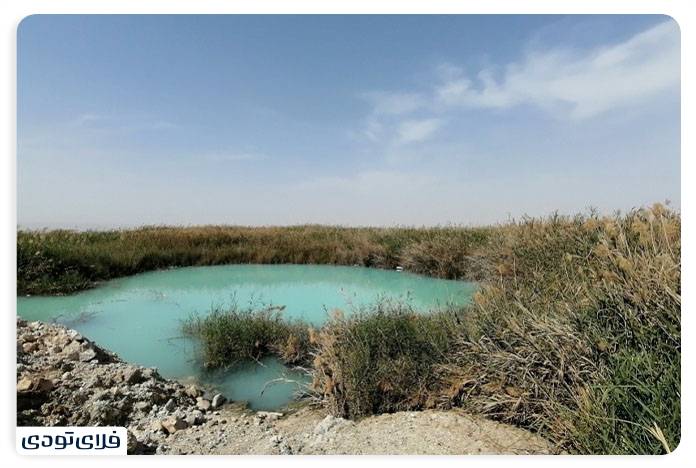 Sightseeing places in Bushehr Beautiful harmony of water and sun