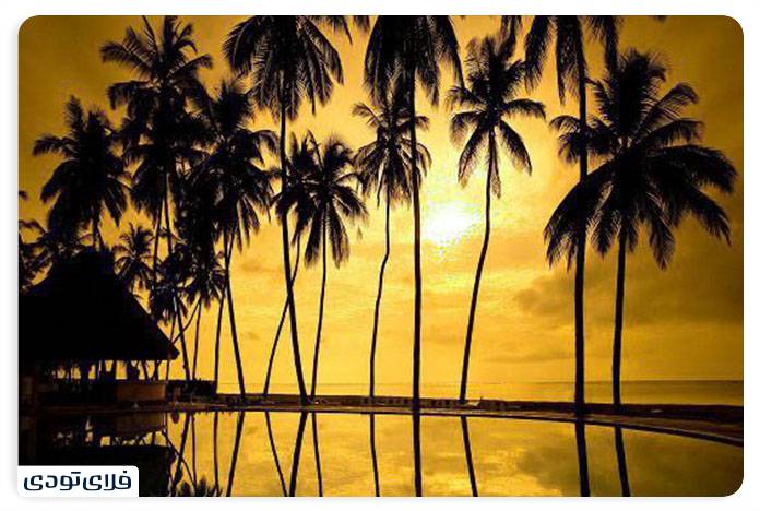 Behesht Garden Grove of Kish