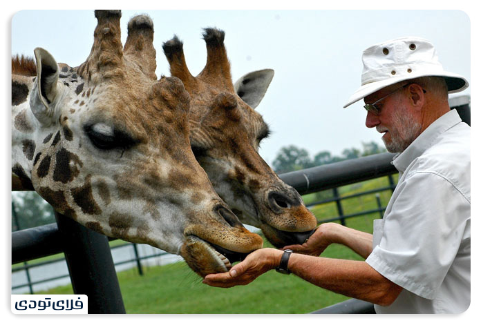 Niagara Falls Niagara Falls and its surrounding attractions