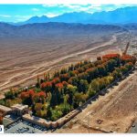 A view of Prince Mahan's garden in the desert