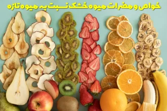The properties and disadvantages of dry fruit compared to fresh fruit