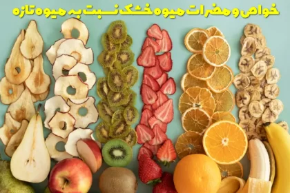 The properties and disadvantages of dry fruit compared to fresh fruit