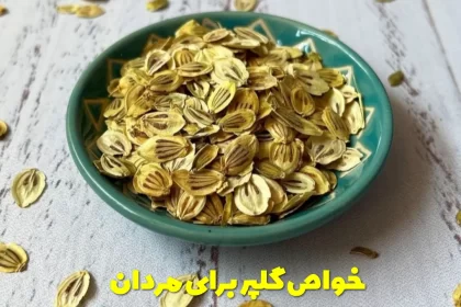 Properties of angelica for men