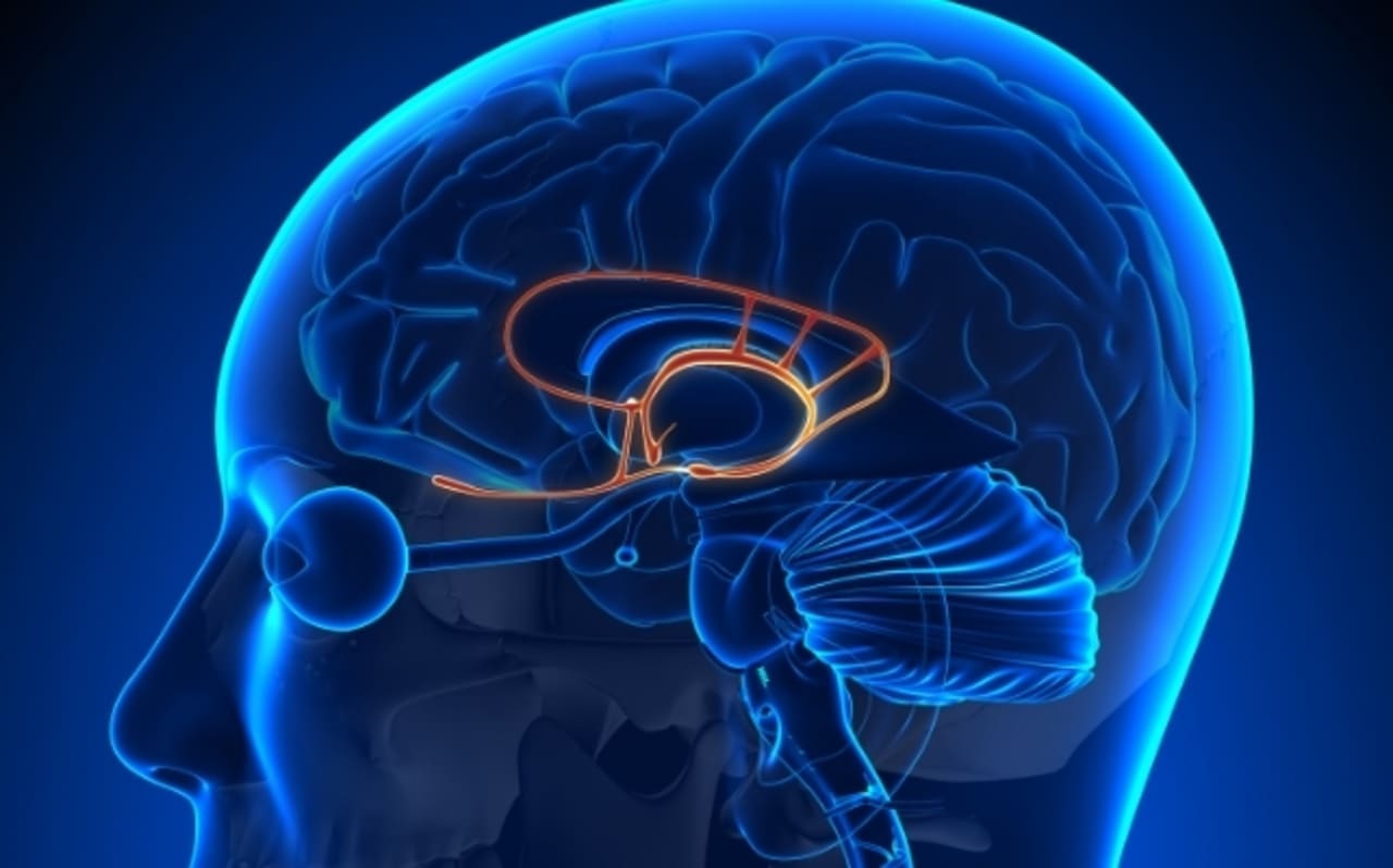 Swearing is good for health, say scientists - Diginoy