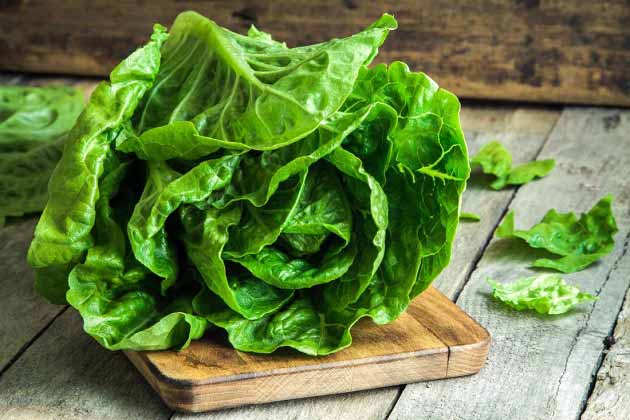 Properties of lettuce for the liver and liver problems