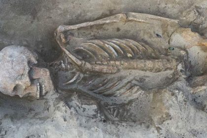 Skeleton of one of the warriors in the grave in good condition