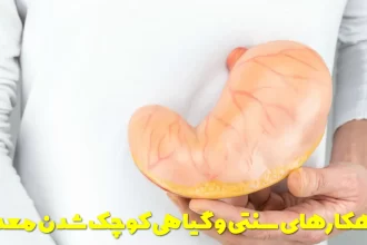 Traditional and herbal solutions to shrink the stomach