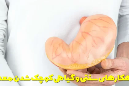 Traditional and herbal solutions to shrink the stomach