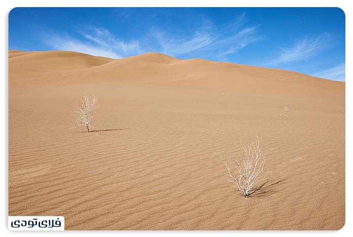 Rig Gen desert The history of the Rig Gen desert