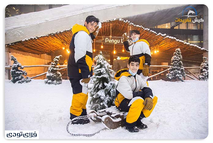 Kish pleasure pier Kish Penguin Snow Park