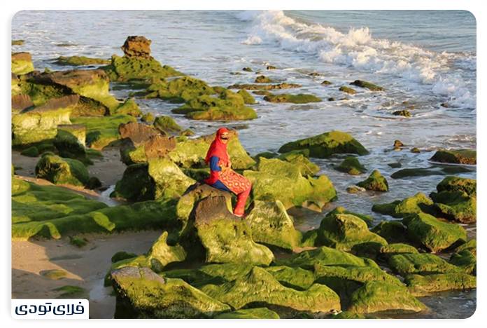 Persian coasts of Hormozgan The most pristine beaches of southern Iran