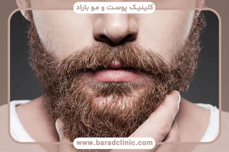 The level of attention to health and medical standards