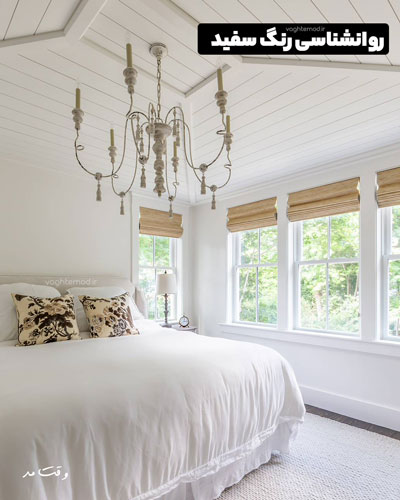 White color is a sign of purity, decency and innocence.