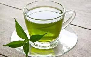 green tea diet; How to lose weight and burn fat with green tea